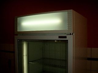 Glastür Kühlschrank Eis Lagerschrank mit Umluft Netto 378 L
