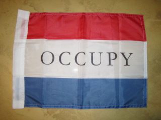 OCCUPY Protest Hand Flag mini Banner 99% 15x12 ANONYMOUS