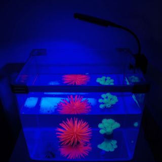 Neu 28er LED Weiß Blau Aquarium Fisch Leuchte Lampe Beleuchtung Clip