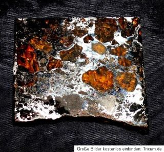 Sehr schöne Scheibe Meteorit Pallasit Seymchan m. Oliv. Heilstein