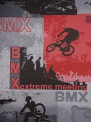 BMX Tapeten Les aventures 15080210