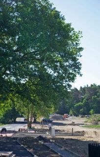 Grundstück Wohngrundstück kaufen in Seddiner See Sed