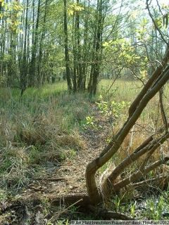 Grundstück Wohngrundstück kaufen in Altfriesack Dorf