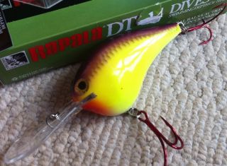 Rapala Dives to 14 DTSS 14 Chartreuse Purple Shiner Zander Hecht