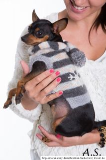 top Shop für Hunde Pullover Hundepullover Strick Chihuahua yorkshire