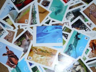 WWF Sammel Sticker Bilder Edeka 20 St aussuchen viele vorhanden
