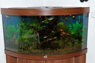 Aquarium JUWEL Modell Trigon 350 Liter Komplett mit allem Zubehoer