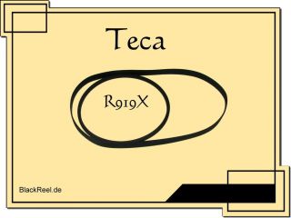 Teac R 919 X R919X Riemen rubber belts Kassettendeck Cassette Tape