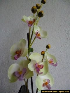 Orchidee im Topf künstl. Planze Kunstblume Seidenblume Stoffblume