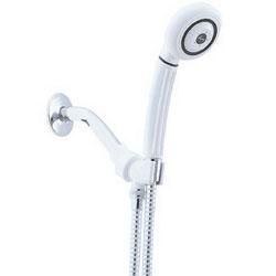 Alsons 45 2010 European Style Arm Mounted Hand Shower Unit, Polished