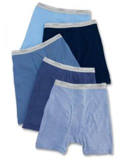 Hanes Boys Boxer Briefs (Blue 5 Pack) Clothing