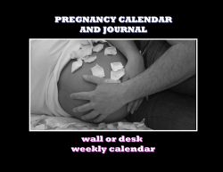 Pregnancy 2012 Calendar and Journal (Calendar)
