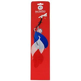 MLB Chicago Cubs Feather Hair Clip