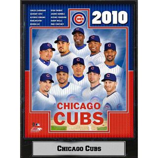 2010 Chicago Cubs Photograph Plaque