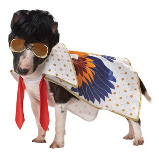 Pup A Razzi Rock n Roll King Dog Halloween Costume