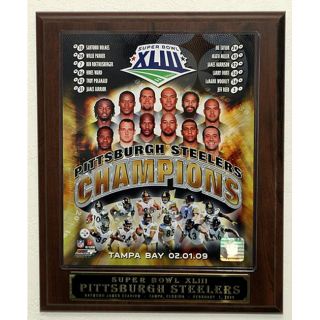 2009 Superbowl Champions Picture Plaque