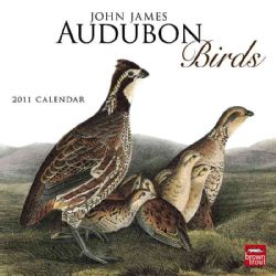 John James Audubon Birds 2011 Calendar (Calendar)