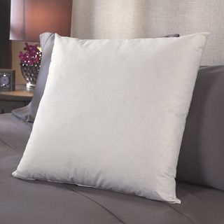 Decorative Eurosquare 26 inch Pillows (Set of 2)