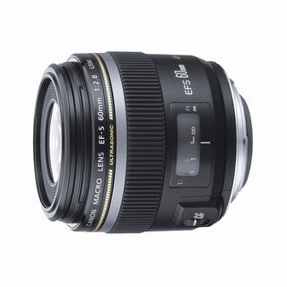 Canon EF S 60mm f/2.8 Macro USM Lens