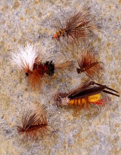All Around 36 piece Dry Flys Fly Fishing Selection