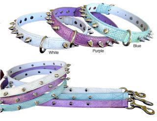 Designer 24 inch Spiked Collar and Leash Set