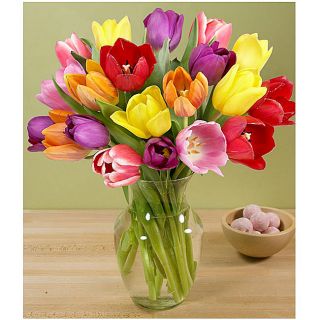 Multi Colored Tulip Bouquet (20 Stems)