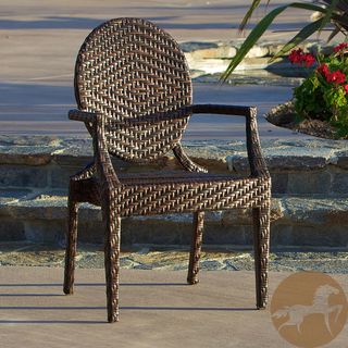Christopher Knight Home Adriana Brown PE Wicker and Iron Frame Wide