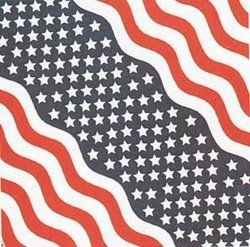 Patriotic Stars and Stripes American Bandana Clothing