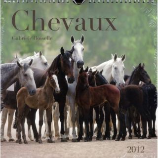 Chevaux 2012 ; le calendrier   Achat / Vente livre Gabrièle Boiselle