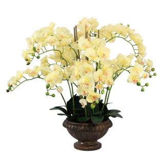 Lifelike Orchid Arrangement Today $128.99 1.0 (2 reviews)