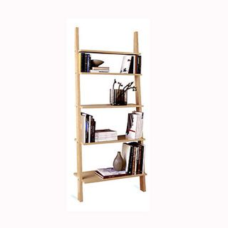 Pisa Style Leaning Ladder Shelves