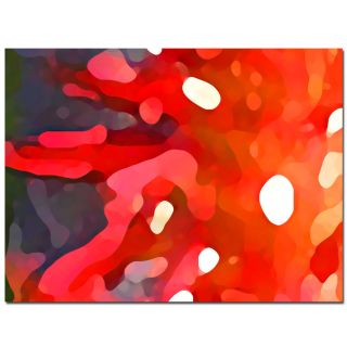 Amy Vangasgard Red Sun Canvas Art Was $54.99 Sale $42.29 Save 23%