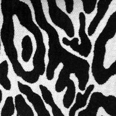 Animal Skins Zebra 14824 583 by Duralee Fabrics Home