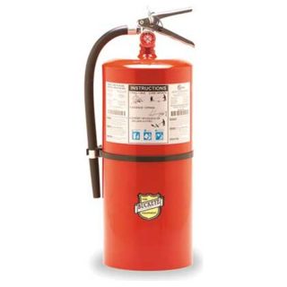 Buckeye 12120 Fire Extinguisher, Dry, ABC, 6 A120 BC
