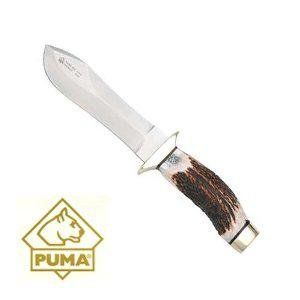 Puma® IP Hunter Fixed Blade w/ Stag Handle Knife Sports