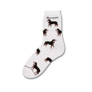 For Bare Feet Bernese Mountain Dog Poses Socks Clothing