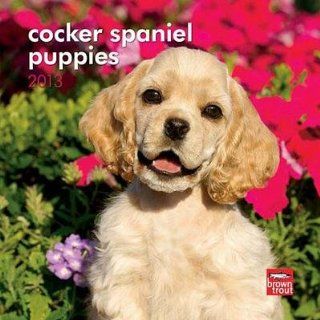 (7x7) Cocker Spaniel Puppies   2013 Mini Calendar Home