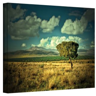 Mark Ross Taking a Moment Wrapped Canvas Art Today $47.99 Sale $43