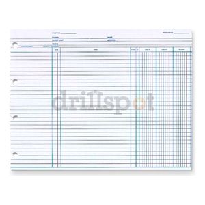 Wilson Jones GN1D Balance Ledger Columnar Sheets